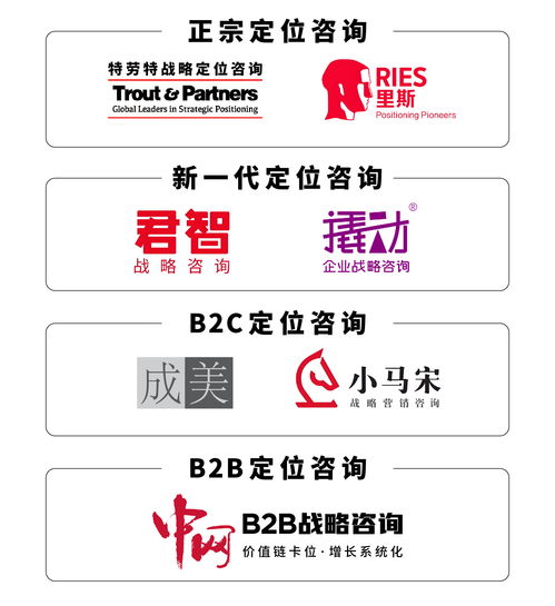 戰(zhàn)略咨詢與技術(shù)開發(fā)雙輪驅(qū)動(dòng) 解鎖企業(yè)高效決策實(shí)戰(zhàn)路徑